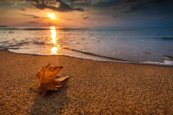 Fall on the beach, leaf on the beach at sunset